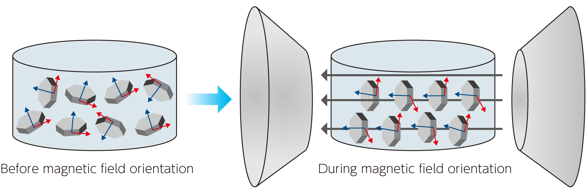 Magnetic oriented